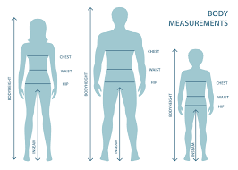 Very few human bodies are anywhere near perfect. Silhouttes Of Man Women And Boy In Full Length With Measurement Lines Of Body Parameters Man Women And Child Sizes Measurements Human Body Measurements And Proportions 616775 Vector Art At Vecteezy