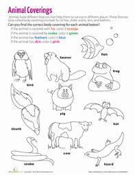 Body Coverings Of Animals Worksheet Education Com Animal Coverings Animal Worksheets Life Science Activities