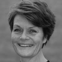 20+ “Goldbach” profiler