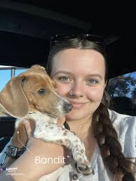 Meet Bandit: My Adorable Bichpoo Puppy! 🐶