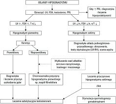 diagnostic and therapeutic management of hypogonadism in men