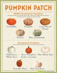 How To Cook Pumpkins Produce Blue Book