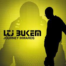 Image result for LTJ Bukem
