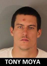 Police K-9 helps in arrest of truck theft suspect in Riverside