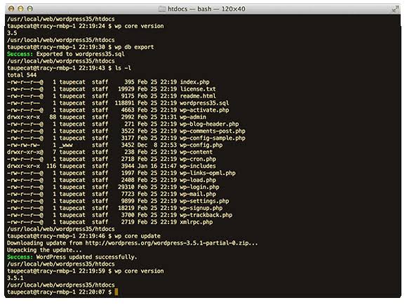 Accessing the server via SSH to use WP-CLI, AI generated