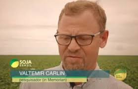 Prêmio Personagem Soja Brasil reconhece a excelência da cadeia do grão;  confira os vencedores