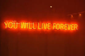 Artist Tim Etchells Creates Narratives And Statements In Neon Lightopia S Blog The Latest In Lighting And Orange Aesthetic Neon Aesthetic Orange Wallpaper