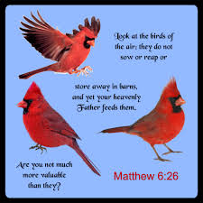 Look At The Birds Of The Air Niv Look At The Birds Of The Air They Do Not Sow Or Reap Or Store Away In Barns And Yet Your Heavenly Father Feeds Th Spiritual Words Heavenly Father Bird Quotes