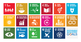 Jul 26, 2021 · attaining sdg 3 synergistically contributes to achieving other major sdgs, including no poverty (sdg 1) and zero hunger (sdg 2). Sustainable Development Goals Sdg Sustainable Investing
