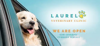 24 hour animal hospital miami, fl 33101. Laurel Veterinary Clinic Home Facebook