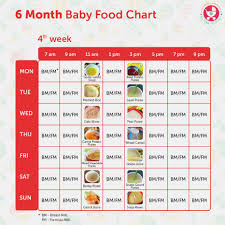 Months Baby Diet Online Charts Collection