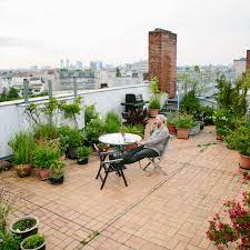 These house gardening tips are best for those who are going to begin as home nursery gardening. What To Consider Before Planting A Rooftop Garden