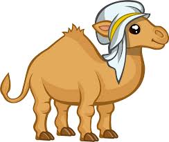 Camel saddles, the art of saddling a camel by doug baum. Camel Clipart Free Download Transparent Png Creazilla