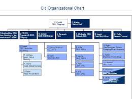 Citibank Organizational Structure 2019 2020 Studychacha