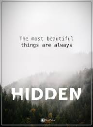 The Most Beautiful Things Are Always Hidden Powerofpositivity Positivewords Positivethinking Inspira Inspirational Quotes Cute Love Quotes Positive Words