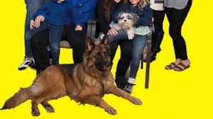 Image result for Vegas Yellow 2015 S1