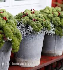 2 257 Gilla Markeringar 75 Kommentarer Annika Christensen Annikasnaturligating Pa Instagram Sa Var Gronkalskrukorna Pa Plats Plants Succulents Planters