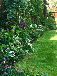 North Facing Border North Facing Garden Small Backyard Landscaping Small Courtyard Gardens