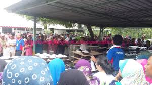 Call importgenius join importgenius to see the import/export activity of every company in the united states. Miyao Toki Kulim Sale Produk Seramik Berkualiti Antarabangsa