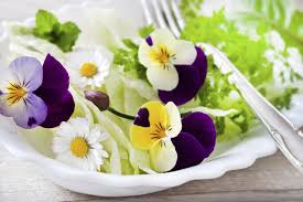 Tips 10 Fleurs A Manger Fleurs Comestibles Plantes Sauvages Comestibles Plantes Comestibles