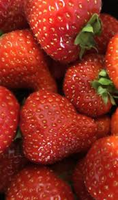 Vente De Fruits Et Legumes A Montauban Kothe Andre Fils Sas
