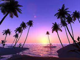 Hot promotions in samsung galaxy palm tree on aliexpress if you're still in two minds about samsung galaxy palm tree and are thinking about choosing a similar product, aliexpress is a great place to compare prices and sellers. Beautiful Palm Tree Album On Imgur