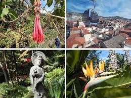 Funchal Seilbahn Die Fahrt Zum Monte Und Besuch Des Tropischen Gartens Funchal Seilbahn Ausflug