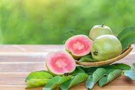 Image result for Psidium guajava