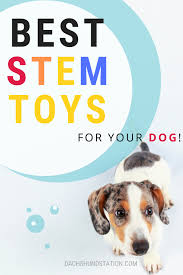 15 Affordable Stem Holiday Gifts For Every Dog Dachshund Station Dog Treat Toys Tech Dog Dog Gifts