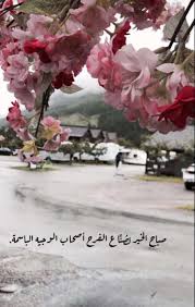 Very Nice Love Quotes Wallpaper Arabic Quotes Arabic Love Quotes