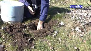 как избавиться от кротов на огороде в домашних условиях Kak Izbavitsya Ot Krotov V Sadu Na Ogorode How To Get Rid Of Moles In The Garden And The Garden Youtube