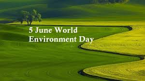 World environment day was established in 1972 during the united nations conference on the human environment, which led to year after year, the aim of world environment day is giving a face to environmental issues while making people active agents of fair and sustainable development; World Environment Day Essay In Malayalam Help I Have So Much Homework Yahoo