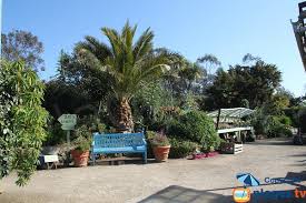 Busiest days at le jardin exotique de roscoff monday, tuesday and wednesday. Crique Du Jardin Exotique Roscoff 29 Finistere Bretagne Plages Tv
