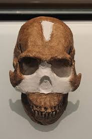 Today, news broke that berger's team has finally found a. Homo Naledi Wikipedia