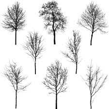 Stock Photography Search Royalty Free Images Photos Tree Tattoo Small Winter Trees Tree Silhouette