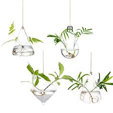 We did not find results for: Glass Large Hanging Planters Water Air Plant Succulent Containers Terrarium Kits Candle Holder With Strings Rope For Home Garden Buy Glass Terrarium Glass Vase Glass Large Hanging Planters Water Air Plant Succulent Containers