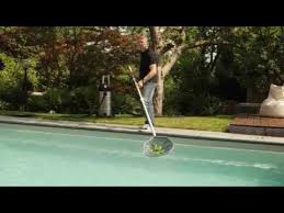 Algen Im Pool Soforthilfe Und Vorbeugung Youtube