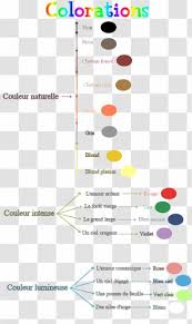 New leaf brings back the beloved shop, shampoodle. Animal Crossing New Leaf Hairstyle Human Hair Color Cosmetologist Eye Text Wanderlust Transparent Png