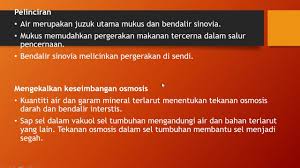 Dalam tubuh manusia pula, lebih kurang 55% hingga 78% adalah terdiri daripada air. Kepentingan Air Dalam Sel Youtube