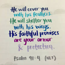 Use highlighting, underlining, and take notes while you study the this summary of the book of psalms provides information about the title, author(s), date of writing. Psalm 91 4 Nlt Psalms Psalm 91 Psalm 91 4