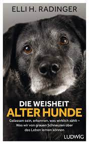 Als wir sam zu uns holten, dachten wir, man müsse einem hund viel freiraum geben, damit er sich entwickeln kann. Die Weisheit Alter Hunde Gelassen Sein Erkennen Was Wirklich Zahlt Was Wir Von Grauen Schnauzen Uber Das Leben Lernen Konnen Radinger Elli H Amazon De Books