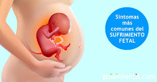 Senales Que Detectan El Sufrimiento Fetal