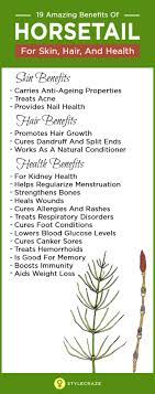 Ingredients Coconut Health Benefits Health Benefits Horsetail