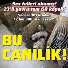Qauzihwwrhnaom