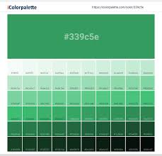 You will learn here green color names as well. Hex Color Code 339c5e Pantone 16 6138 Tcx Kelly Green Color Information Hsl Rgb Pantone