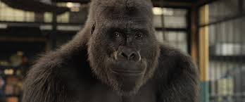 Fans of the first book will love catching up with cherished friends, and newcomers, too, will enjoy this heartfelt my students and i love reading the one and only ivan and then learning about what is known about ivan from his life. The One And Only Ivan Movie Review 2020 Roger Ebert