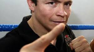 Ulises “Archi” Solís espera que apliquen la ley sobre el Canelo- Grupo  Milenio