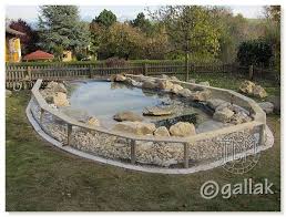 Exemples De Bassins Exterieurs Pour Aquatiques Bassin Exterieur Bassin Aquatique