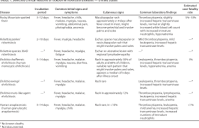 Pdf Diagnosis And Management Of Tickborne Rickettsial Diseases Rocky Mountain Spotted Fever And Other Spotted Fever Group Rickettsioses Ehrlichioses And Anaplasmosis United States Semantic Scholar