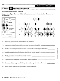 The human chromosome is the basic building block of life and is one of the most important components of the cell to be transmitted from generation to generation. 14 1 Human Heredity